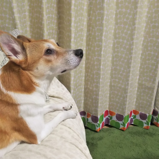 ボトムアクセントカーテン＜カーロ　ベージュ＞のレビュー写真です