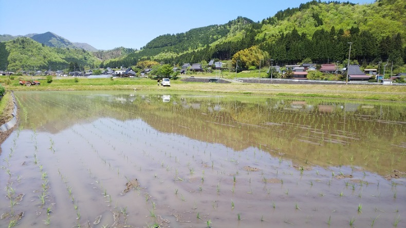 びっくりカーテンスタッフブログの写真です