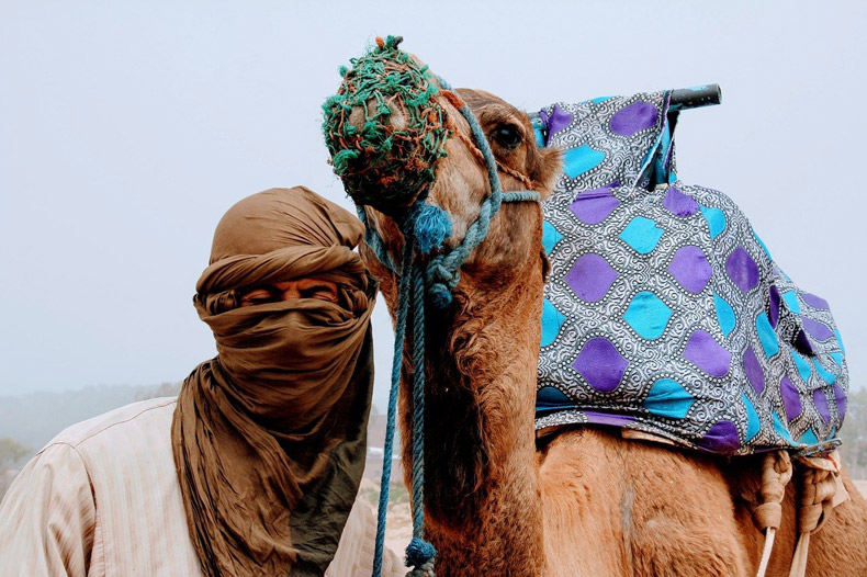 モロッコの暮らしコラム Vol 63 びっくりカーテン