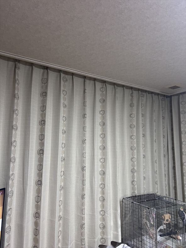 びっくりカーテン